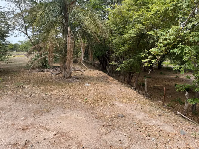 Lote mixto de 10.000 m² frente a Ruta 1 en Bagaces - Imagen 17