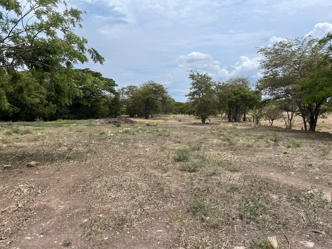 Lote mixto de 10.000 m² frente a Ruta 1 en Bagaces - Imagen 3