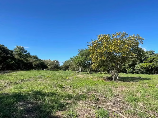 Lote mixto de 10.000 m² frente a Ruta 1 en Bagaces - Imagen 5