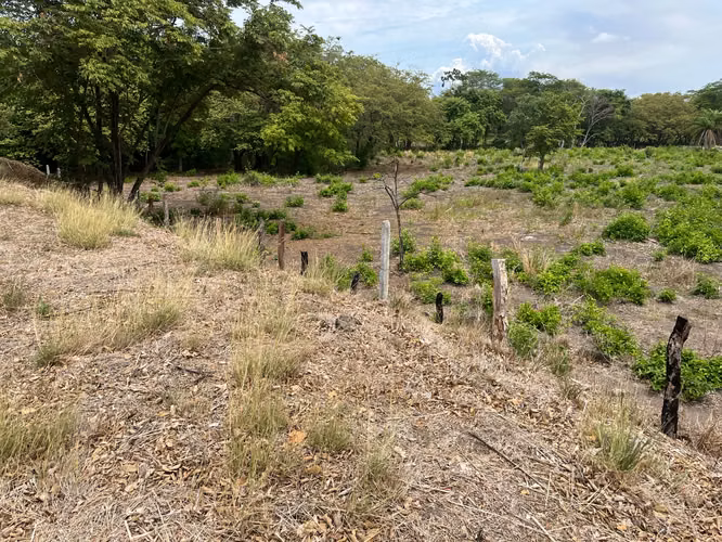 Lote mixto de 10.000 m² frente a Ruta 1 en Bagaces - Imagen 4