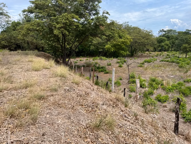 Lote mixto de 10.000 m² frente a Ruta 1 en Bagaces - Imagen 14