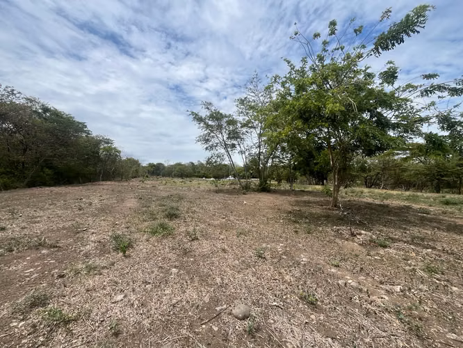 Lote mixto de 10.000 m² frente a Ruta 1 en Bagaces - Imagen 16