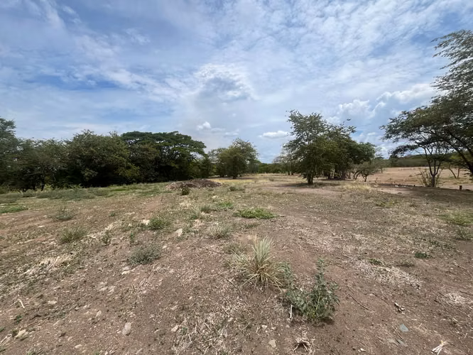 Lote mixto de 10.000 m² frente a Ruta 1 en Bagaces - Imagen 18