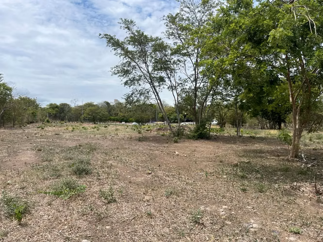 Lote mixto de 10.000 m² frente a Ruta 1 en Bagaces - Imagen 15