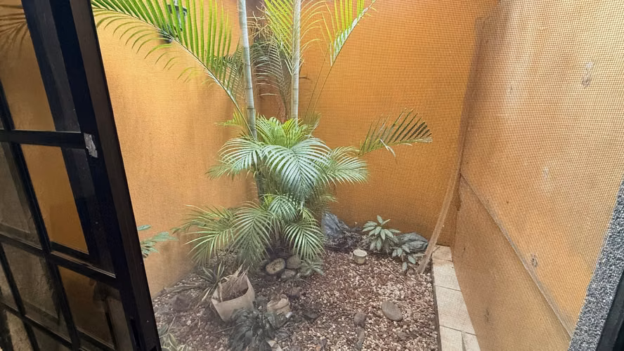 Casa de 3 habitaciones y jardín interior en Real Cariari - Imagen 4