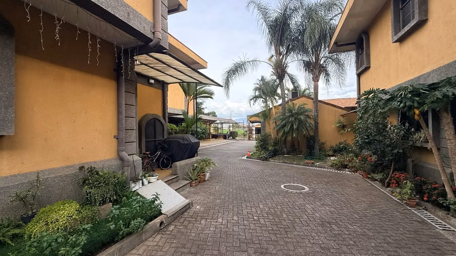 Casa de 3 habitaciones y jardín interior en Real Cariari - Imagen 14