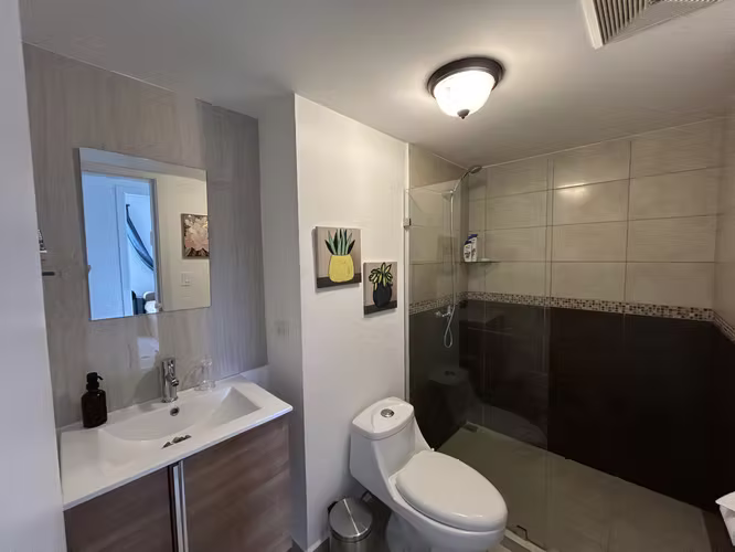 APARTAMENTO SEMIAMUEBLADO LAGUNILLA - Imagen 8