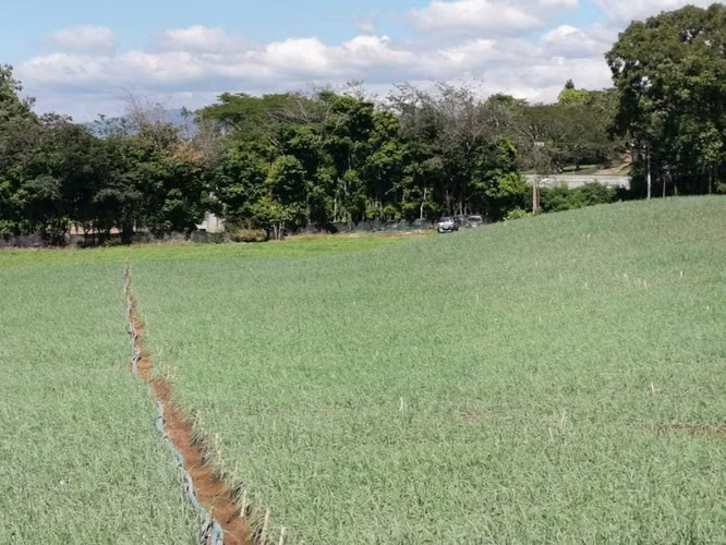 Venta de Finca en San Rafael de Alajuela. 26-967 - Imagen 4