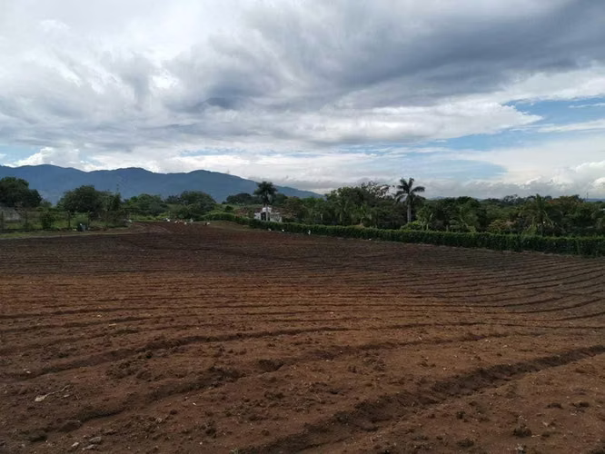 Venta de Finca en San Rafael de Alajuela. 26-967 - Imagen 5