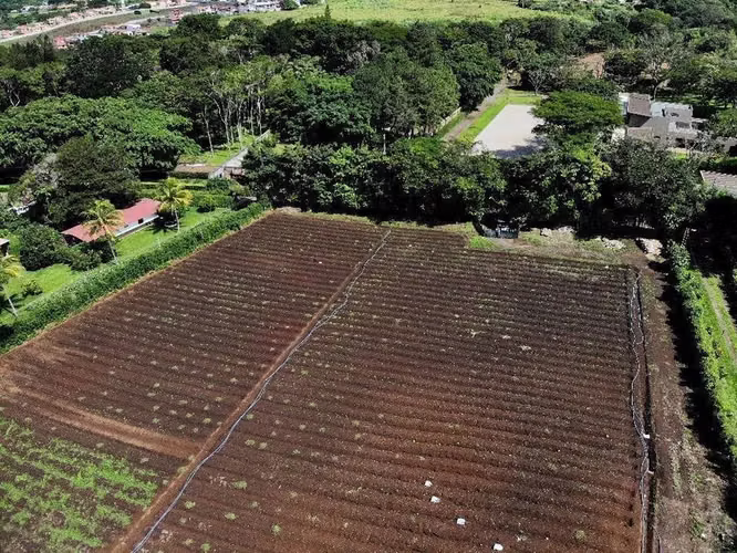 Venta de Finca en San Rafael de Alajuela. 26-967 - Imagen 6