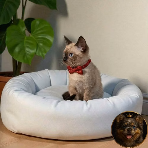Gatitos Siamés