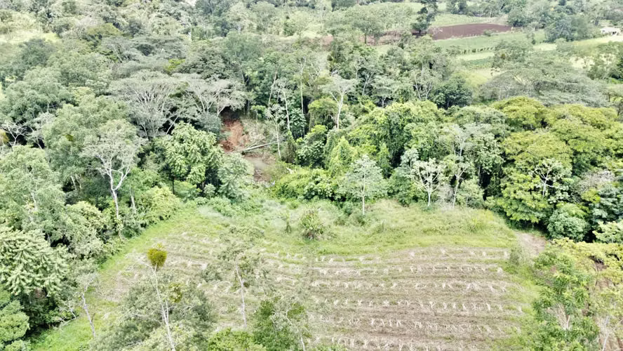 Venta Finca La Fortuna - Imagen 6