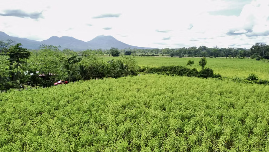 Venta Finca La Fortuna - Imagen 5