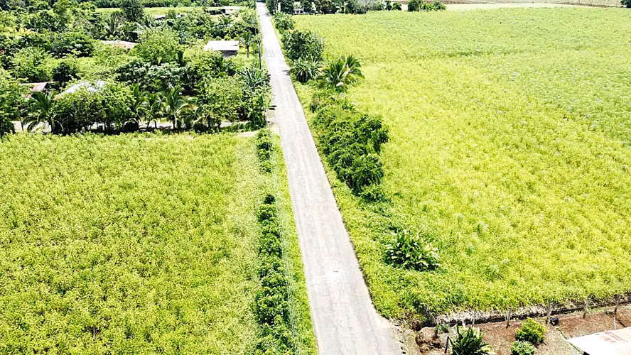 Venta Finca La Fortuna - Imagen 12