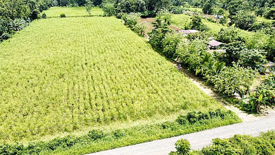 Venta Finca La Fortuna - Imagen 3