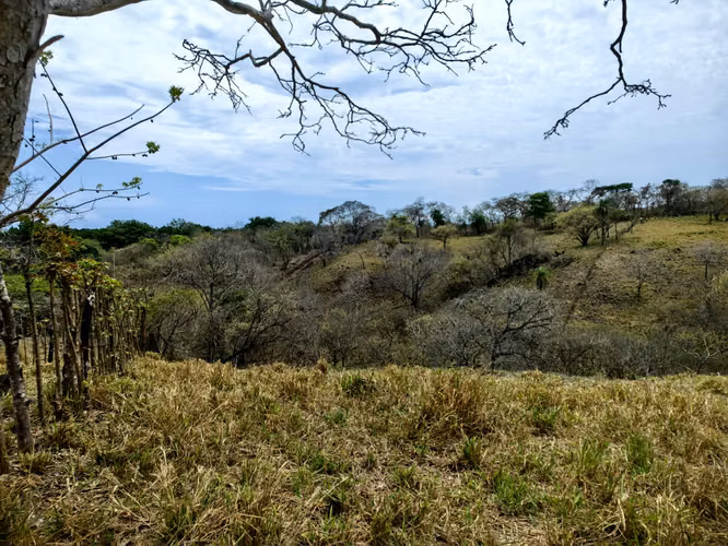 EN VENTA finca ganadera con vista al en Garabito