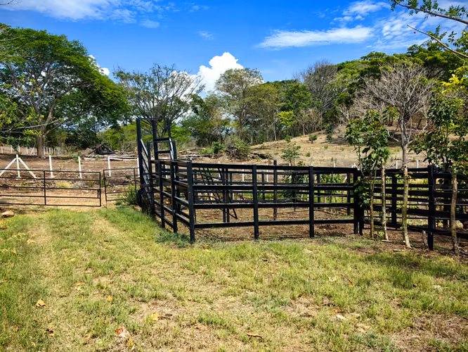 EN VENTA finca ganadera con vista al en Garabito