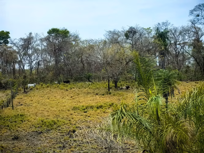 EN VENTA finca ganadera con vista al en Garabito