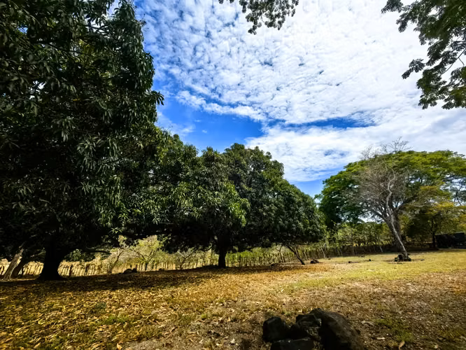 EN VENTA finca ganadera con vista al en Garabito