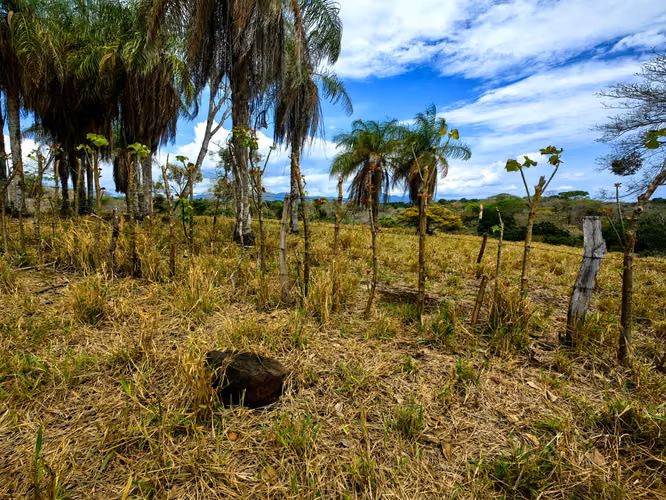 EN VENTA finca ganadera con vista al en Garabito