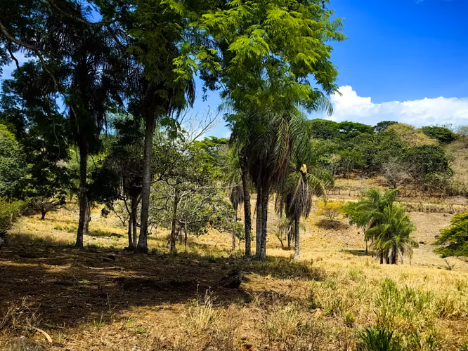 EN VENTA finca ganadera con vista al en Garabito