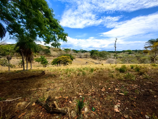 EN VENTA finca ganadera con vista al en Garabito
