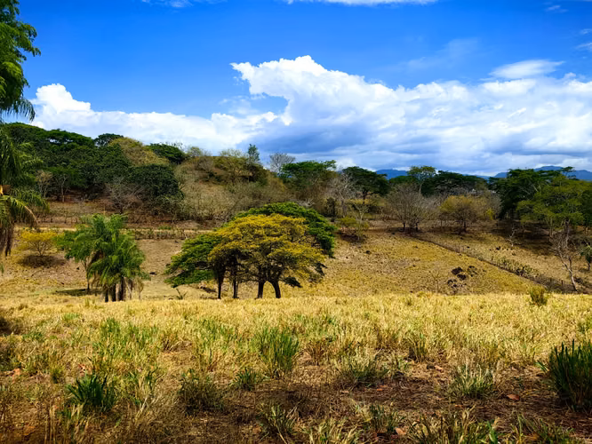 EN VENTA finca ganadera con vista al en Garabito