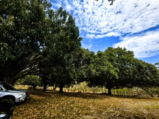 EN VENTA finca ganadera con vista al en Garabito