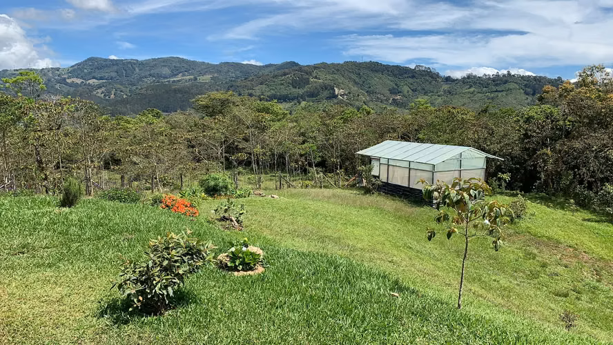 Casa Coyotes: Obra de Arte Sostenible y Retiro de Bosque Nuboso en Cartago - Imagen 18
