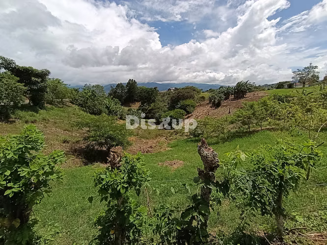 Terreno en Venta de 6542 m2. Barro Hondo,Paraíso de Cartago.