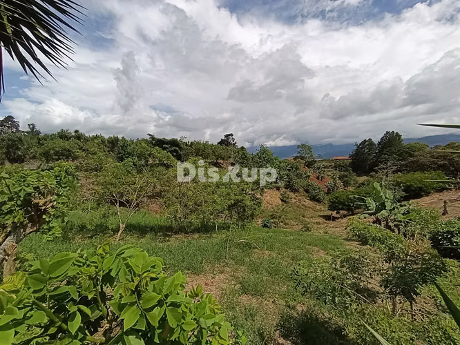 Terreno en Venta de 6542 m2. Barro Hondo,Paraíso de Cartago.