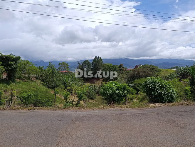 Terreno en Venta de 6542 m2. Barro Hondo,Paraíso de Cartago.