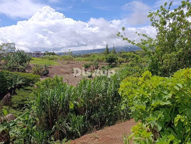 Terreno en Venta de 6542 m2. Barro Hondo,Paraíso de Cartago.