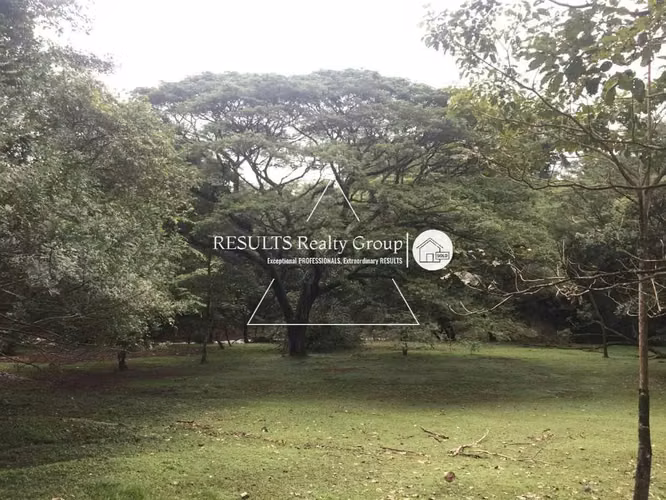 4.5 ha Industrial o Tourism con Energia Trifasica - Imagen 7