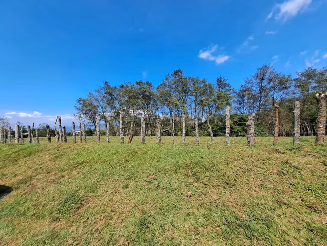 Terreno con dos frentes Vista de Mar Goicoechea 4.8 hectáreas - Imagen 10