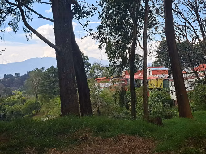 Terreno con dos frentes Vista de Mar Goicoechea 4.8 hectáreas - Imagen 13