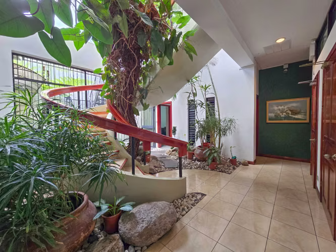 ESPACIO DE OFICINAS DE 318 M2 EN SABANA SUR - Imagen 5