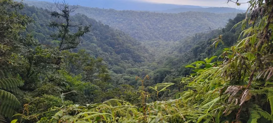 Finca Privada con Cascada en Guapiles, Costa Rica - Santuario Natural - Imagen 8