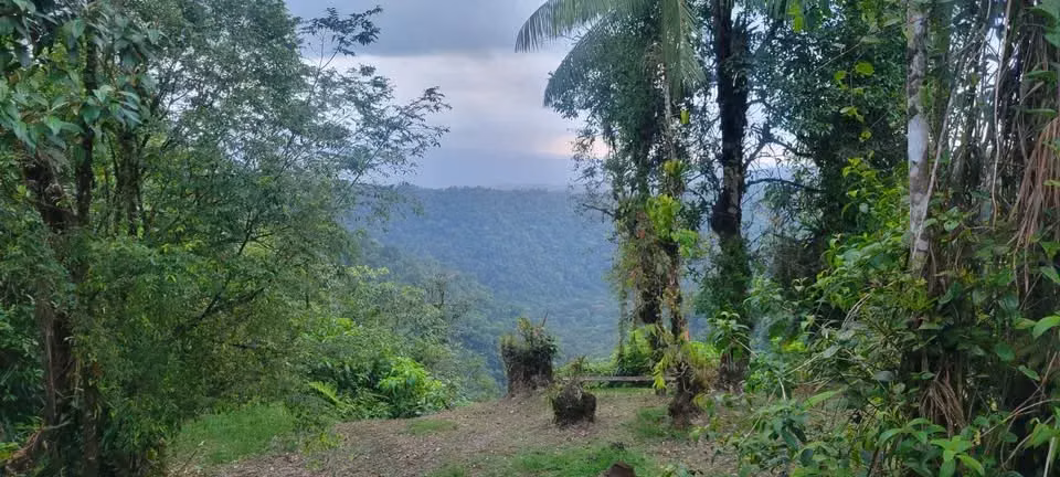 Finca Privada con Cascada en Guapiles, Costa Rica - Santuario Natural - Imagen 7