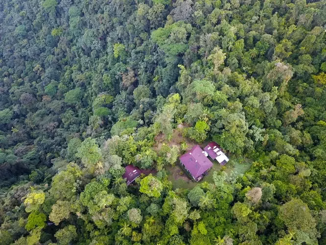 Finca Privada con Cascada en Guapiles, Costa Rica - Santuario Natural - Imagen 13