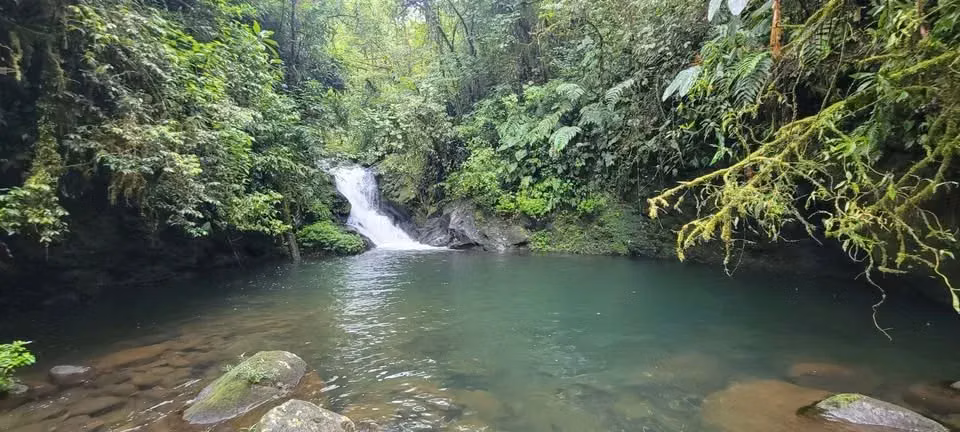 Finca Privada con Cascada en Guapiles, Costa Rica - Santuario Natural - Imagen 5