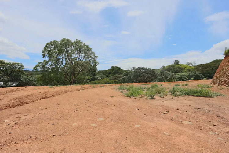 Venta lote plano en Turrucares