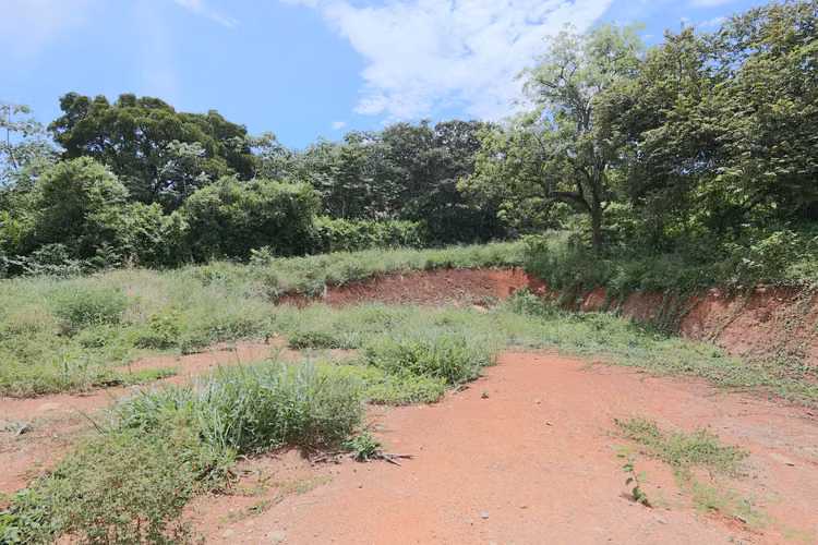 Venta lote plano en Turrucares - Imagen 12