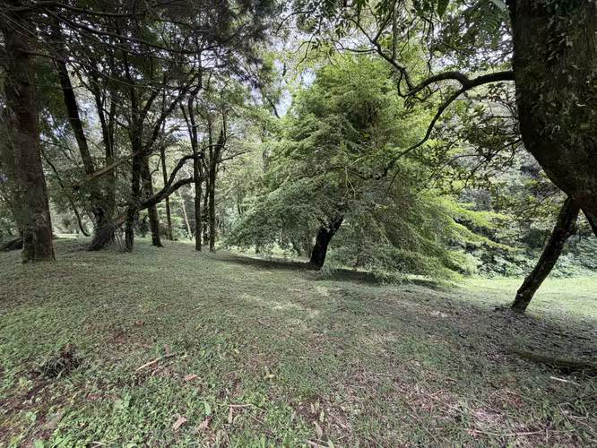 Venta de Quinta en Poás de Alajuela. - Imagen 5