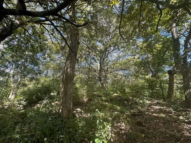 Venta de Lote en Turrúcares de Alajuela USO DE SUELO AGRÍCOLA RZ