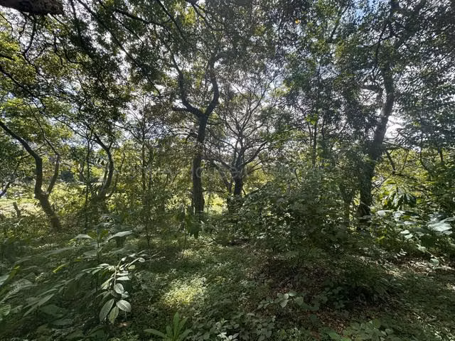 Venta de Lote en Turrúcares de Alajuela USO DE SUELO AGRÍCOLA RZ - Imagen 10