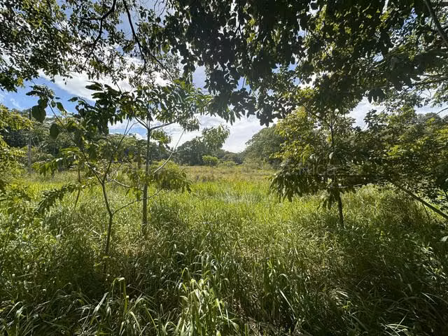 Venta de Lote en Turrúcares de Alajuela USO DE SUELO AGRÍCOLA RZ - Imagen 3