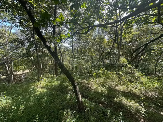 Venta de Lote en Turrúcares de Alajuela USO DE SUELO AGRÍCOLA RZ - Imagen 7