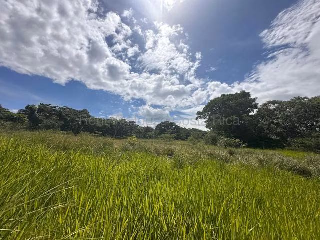 Venta de Lote en Turrúcares de Alajuela USO DE SUELO AGRÍCOLA RZ - Imagen 2