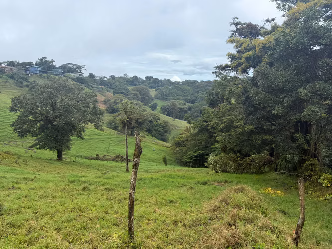 VENDO LINDA PROPIEDAD MONTEVERDE SANTA ELENA - Imagen 4